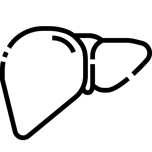 Ícone fígado - Esteatose Hepática