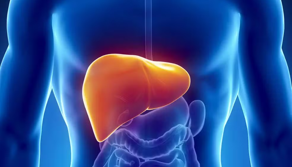 Esteatose Hepática - Dr. Carlos Santillán
